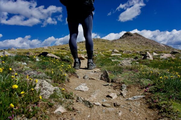Person hiking a mountain with yellow daisies in foreground